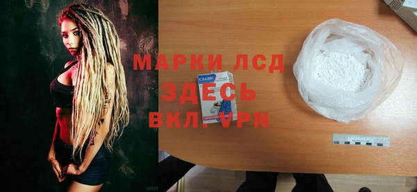 гашик Ельня