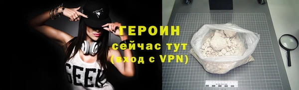 гашик Ельня