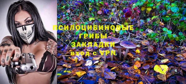 а пвп мука Баксан