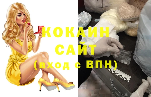 дмт Елизово