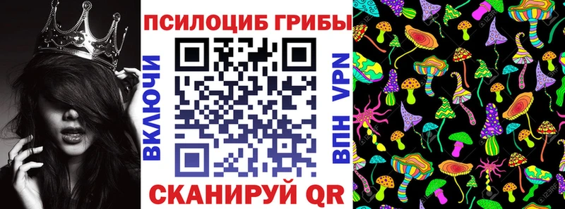 Купить закладки  Суздаль  Псилоцибиновые грибы прущие грибы 